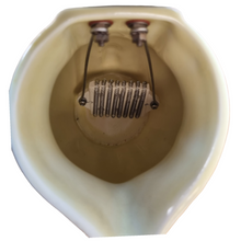 Load image into Gallery viewer, Vintage AEI Electric Jug