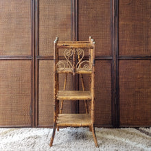 Load image into Gallery viewer, ANTIQUE TORTOISESHELL CANE 'CANTERBURY', MAGAZINE RACK, BOOK STAND, ETC. #1