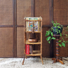 Load image into Gallery viewer, ANTIQUE TORTOISESHELL CANE 'CANTERBURY', MAGAZINE RACK, BOOK STAND, ETC. #1