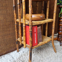 Load image into Gallery viewer, ANTIQUE TORTOISESHELL CANE 'CANTERBURY', MAGAZINE RACK, BOOK STAND, ETC. #1