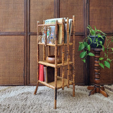 Load image into Gallery viewer, ANTIQUE TORTOISESHELL CANE 'CANTERBURY', MAGAZINE RACK, BOOK STAND, ETC. #1