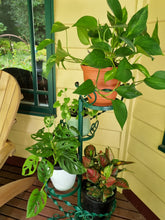 Load image into Gallery viewer, VINTAGE WROUGHT IRON TWISTED SPIRAL TIERED PLANT STAND