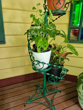 Load image into Gallery viewer, VINTAGE WROUGHT IRON TWISTED SPIRAL TIERED PLANT STAND