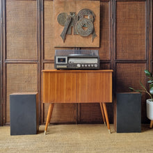Load image into Gallery viewer, VINTAGE RECORD CABINET