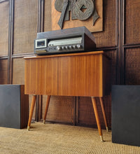 Load image into Gallery viewer, VINTAGE RECORD CABINET