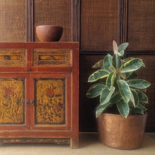 Load image into Gallery viewer, VINTAGE TIBETAN CABINET WITH ARTWORK