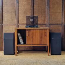 Load image into Gallery viewer, VINTAGE CABINET