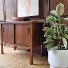 Load image into Gallery viewer, VINTAGE CABINET
