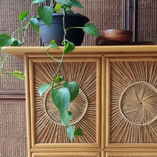 Load image into Gallery viewer, VINTAGE SUNBURST WICKER & CANE BAR