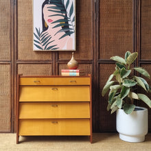 Load image into Gallery viewer, VINTAGE MID CENTURY GERMAN SHOE STORAGE CABINET