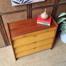 Load image into Gallery viewer, VINTAGE MID CENTURY GERMAN SHOE STORAGE CABINET