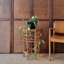 Load image into Gallery viewer, VINTAGE CANE RATTAN HEXAGONAL PLANT STAND SIDE TABLE