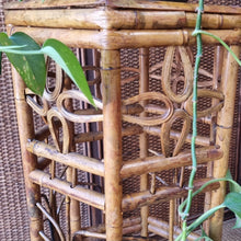 Load image into Gallery viewer, VINTAGE CANE RATTAN HEXAGONAL PLANT STAND SIDE TABLE