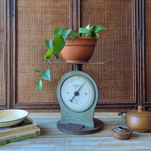 Load image into Gallery viewer, VINTAGE SALTER NO. 55 SCALES