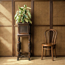 Load image into Gallery viewer, ANTIQUE CARVED & CANE PLANT STAND / JARDINIÈRE STAND