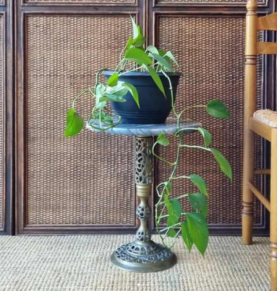Green Thumbs, Vintage Hearts: Using Vintage Pieces as Plant Stands