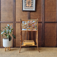 Load image into Gallery viewer, ANTIQUE TORTOISESHELL CANE &#39;CANTERBURY&#39;, MAGAZINE RACK, BOOK STAND, ETC.
