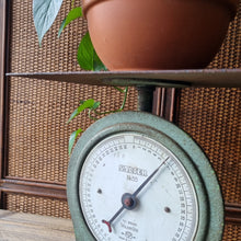 Load image into Gallery viewer, VINTAGE SALTER NO. 55 SCALES
