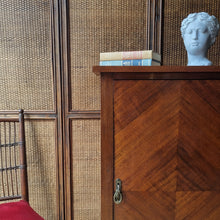 Load image into Gallery viewer, ANTIQUE EDWARDIAN RECORD, FOLIO &amp; ART STORAGE CABINET
